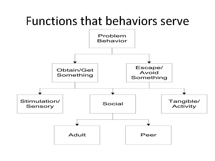 Functions that behaviors serve 