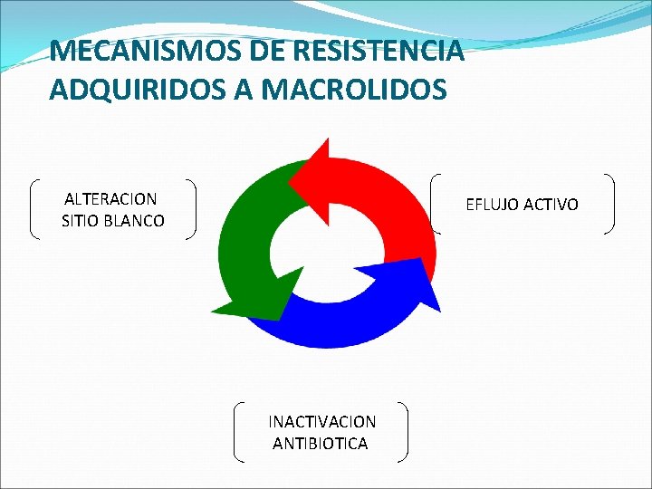 MECANISMOS DE RESISTENCIA ADQUIRIDOS A MACROLIDOS ALTERACION SITIO BLANCO EFLUJO ACTIVO INACTIVACION ANTIBIOTICA 