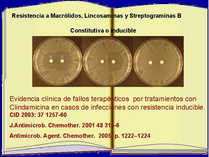 Resistencia a Macrólidos, Lincosaminas y Streptograminas B Constitutiva o inducible Evidencia clínica de fallos