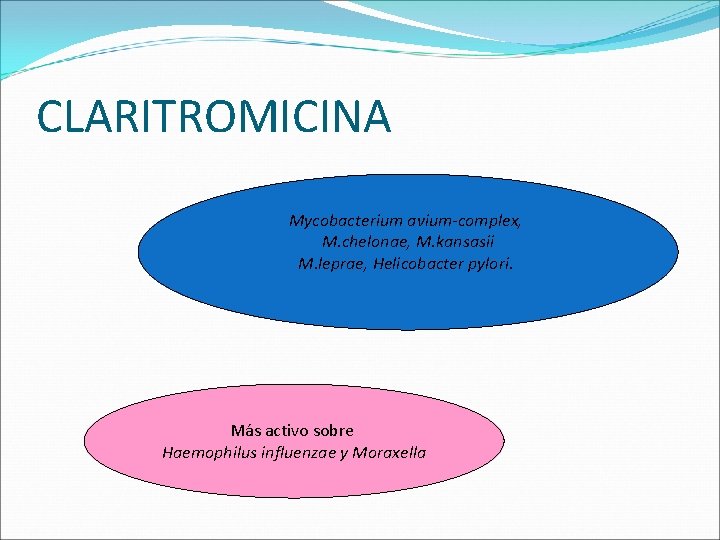 CLARITROMICINA Mycobacterium avium-complex, M. chelonae, M. kansasii M. leprae, Helicobacter pylori. Más activo sobre