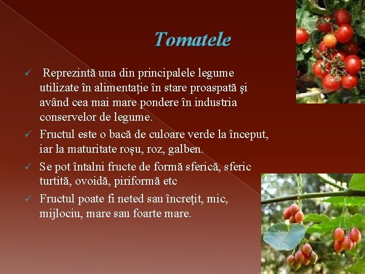 Tomatele Reprezintă una din principalele legume utilizate în alimentație în stare proaspată şi având