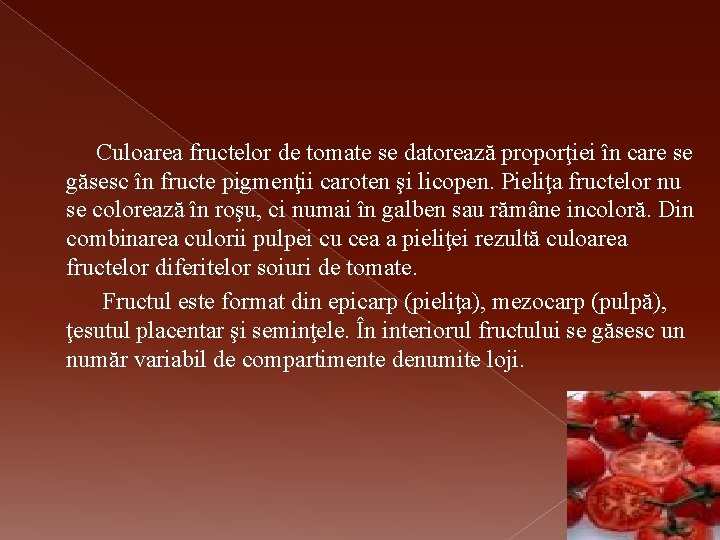 Culoarea fructelor de tomate se datorează proporţiei în care se găsesc în fructe pigmenţii
