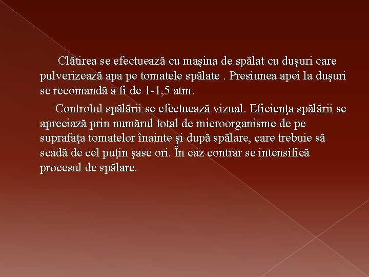 Clătirea se efectuează cu maşina de spălat cu duşuri care pulverizează apa pe tomatele