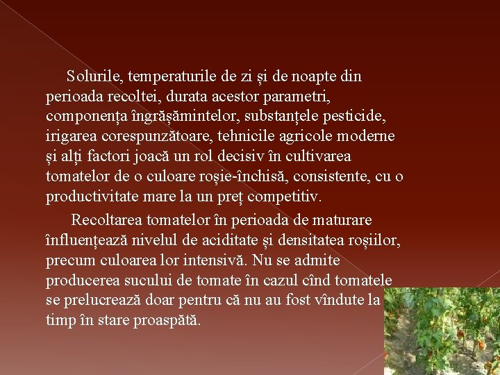 Solurile, temperaturile de zi și de noapte din perioada recoltei, durata acestor parametri, componența