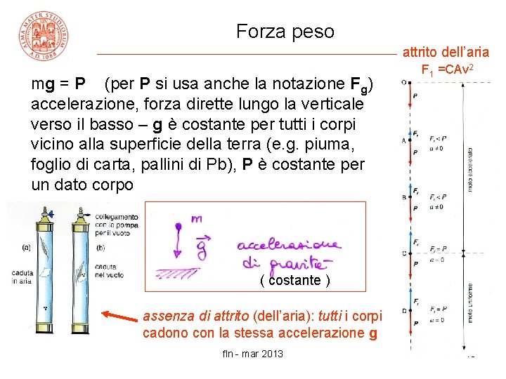 Forza peso attrito dell’aria mg = P (per P si usa anche la notazione