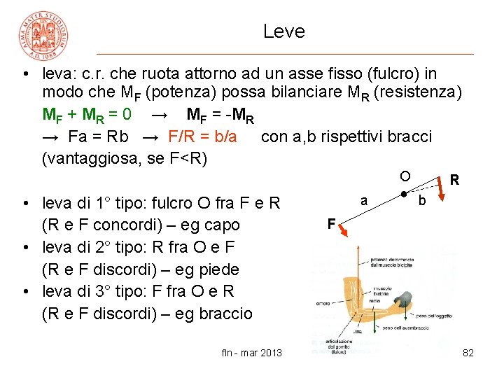 Leve • leva: c. r. che ruota attorno ad un asse fisso (fulcro) in