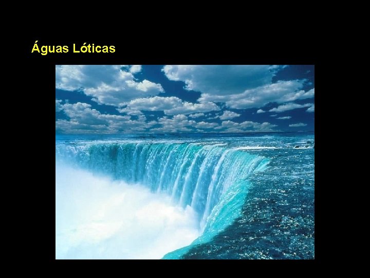 Águas Lóticas 