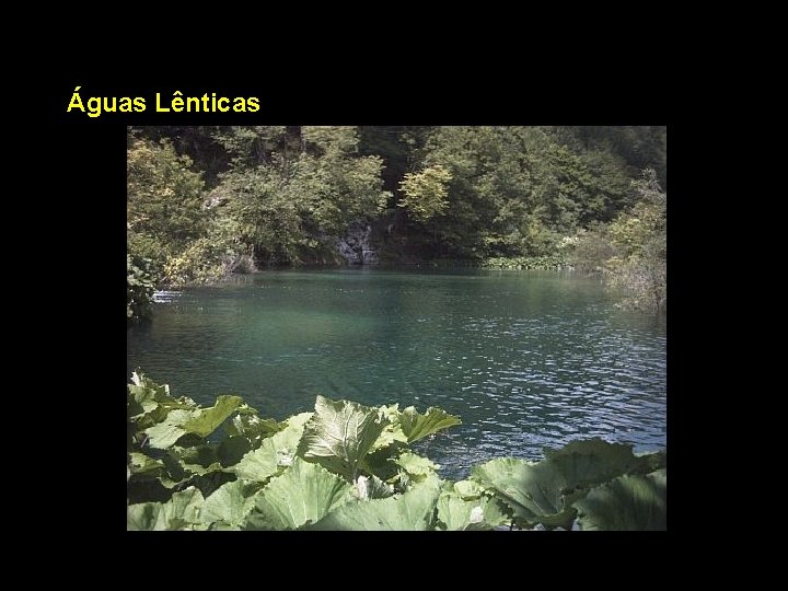 Águas Lênticas 