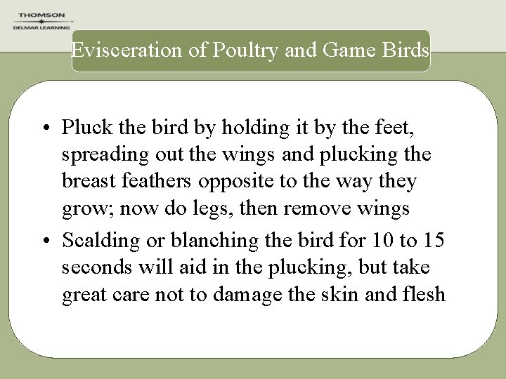 Evisceration of Poultry and Game Birds • Pluck the bird by holding it by