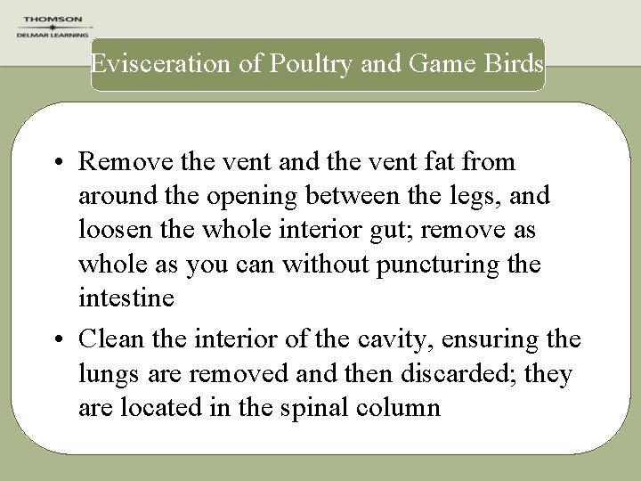 Evisceration of Poultry and Game Birds • Remove the vent and the vent fat