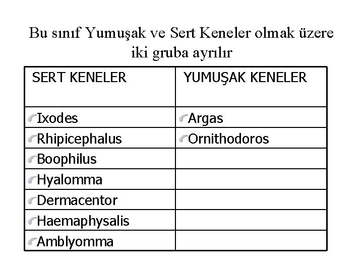 Bu sınıf Yumuşak ve Sert Keneler olmak üzere iki gruba ayrılır SERT KENELER Ixodes