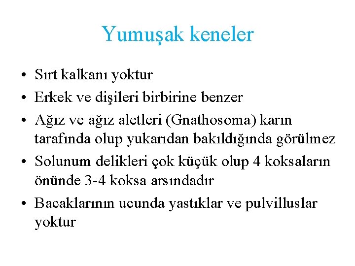 Yumuşak keneler • Sırt kalkanı yoktur • Erkek ve dişileri birbirine benzer • Ağız