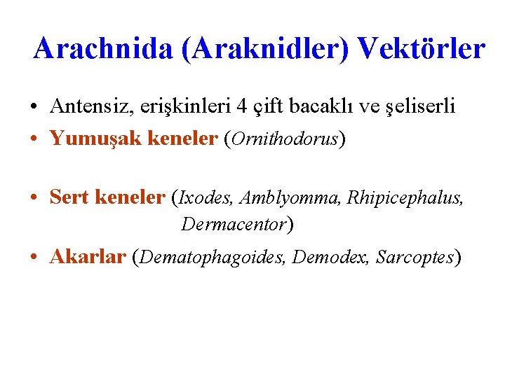 Arachnida (Araknidler) Vektörler • Antensiz, erişkinleri 4 çift bacaklı ve şeliserli • Yumuşak keneler