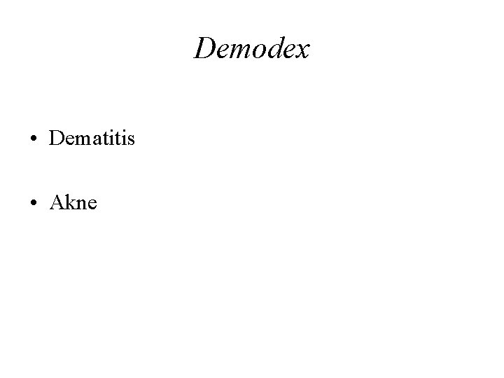 Demodex • Dematitis • Akne 