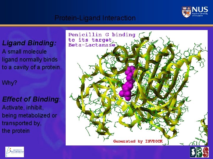 Protein-Ligand Interaction Ligand Binding: A small molecule ligand normally binds to a cavity of