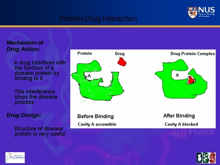Protein-Drug Interaction Mechanism of Drug Action: A drug interferes with the function of a