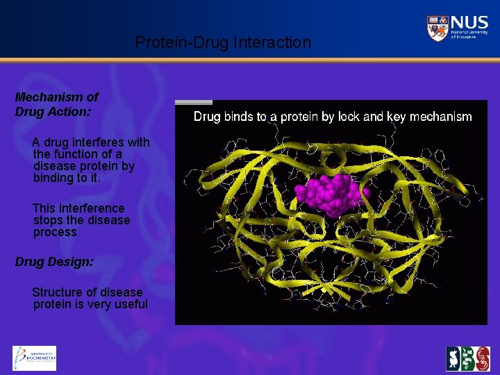 Protein-Drug Interaction Mechanism of Drug Action: A drug interferes with the function of a