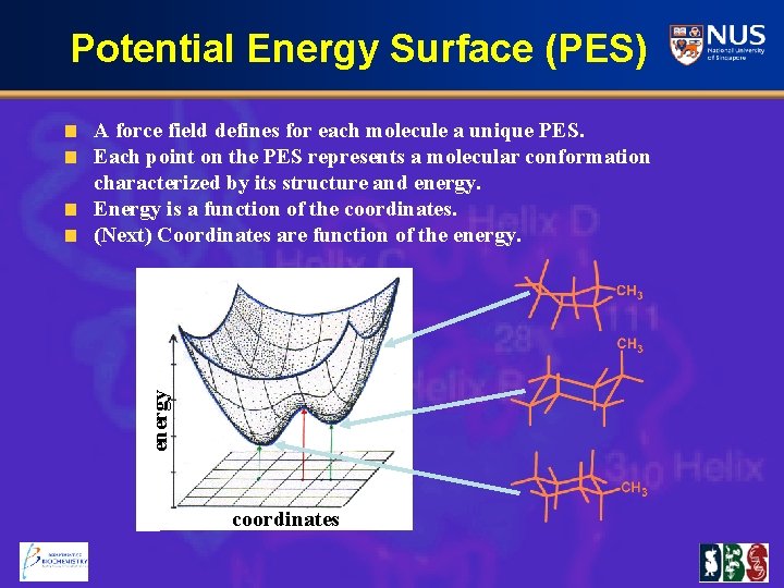 Potential Energy Surface (PES) energy A force field defines for each molecule a unique
