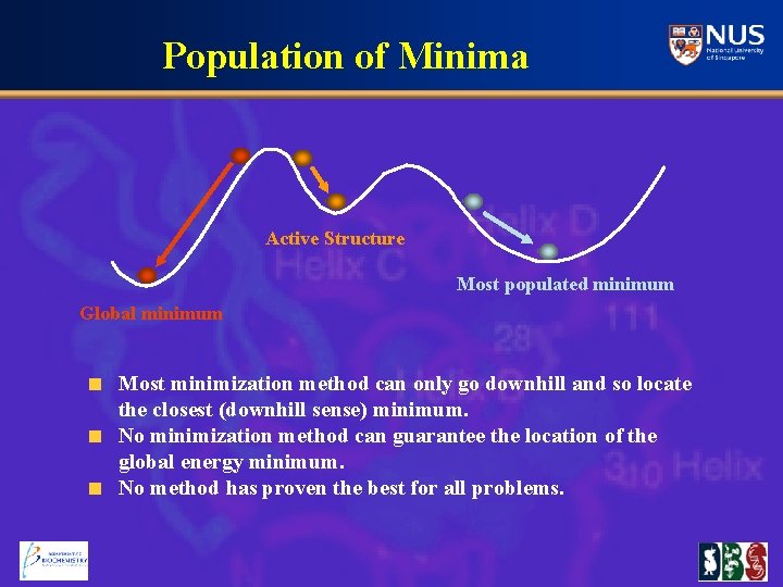 Population of Minima Active Structure Most populated minimum Global minimum Most minimization method can