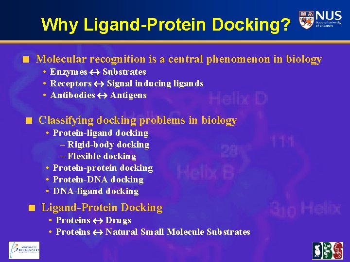 Why Ligand-Protein Docking? Molecular recognition is a central phenomenon in biology • Enzymes Substrates
