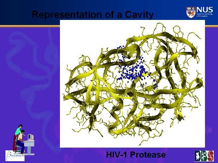 Representation of a Cavity HIV-1 Protease 