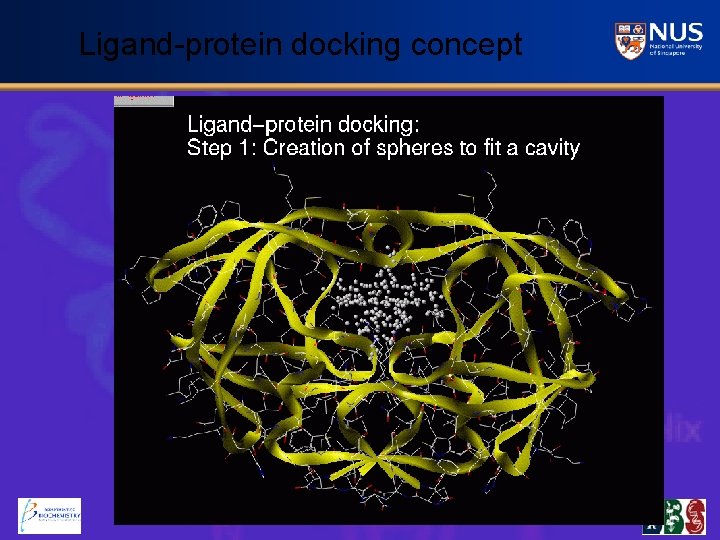 Ligand-protein docking concept 