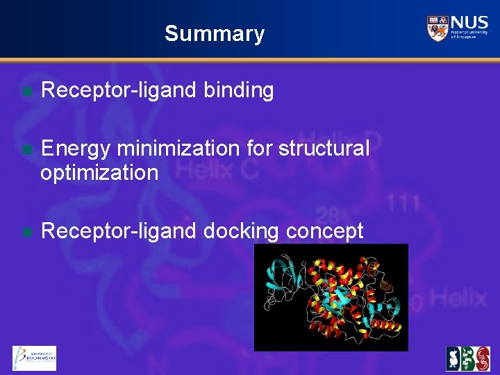 Summary n Receptor-ligand binding n Energy minimization for structural optimization n Receptor-ligand docking concept