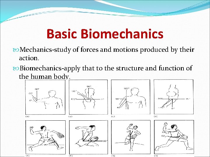 Basic Biomechanics Mechanics-study of forces and motions produced by their action. Biomechanics-apply that to