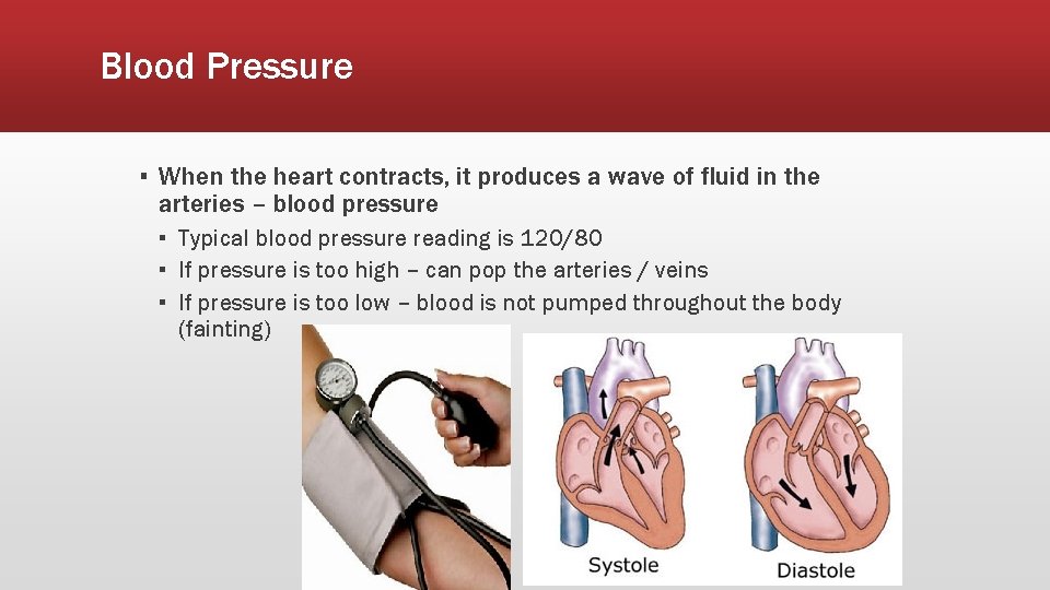 Blood Pressure ▪ When the heart contracts, it produces a wave of fluid in