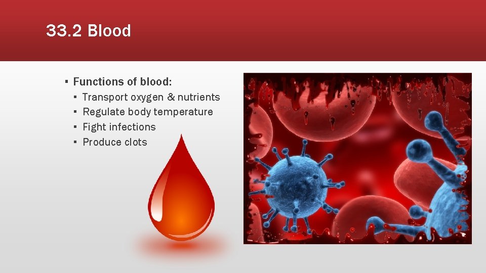 33. 2 Blood ▪ Functions of blood: ▪ ▪ Transport oxygen & nutrients Regulate