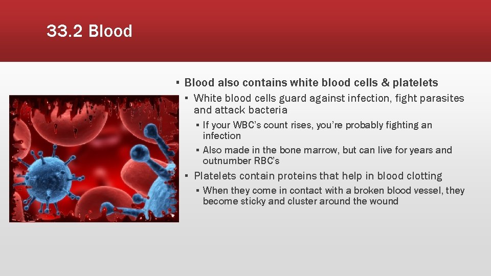 33. 2 Blood ▪ Blood also contains white blood cells & platelets ▪ White