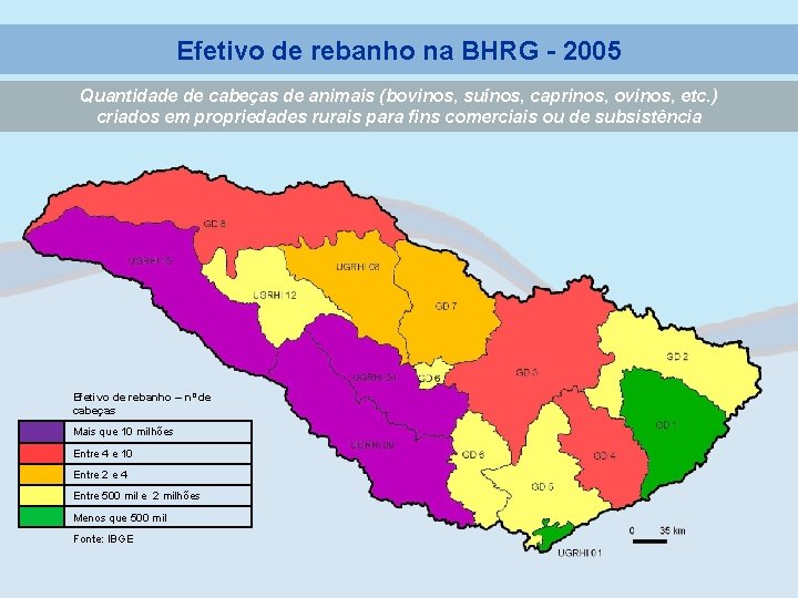 Efetivo de rebanho na BHRG - 2005 Quantidade de cabeças de animais (bovinos, suínos,