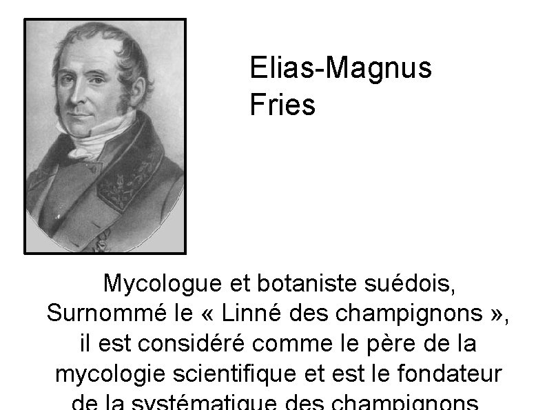 Elias-Magnus Fries Mycologue et botaniste suédois, Surnommé le « Linné des champignons » ,