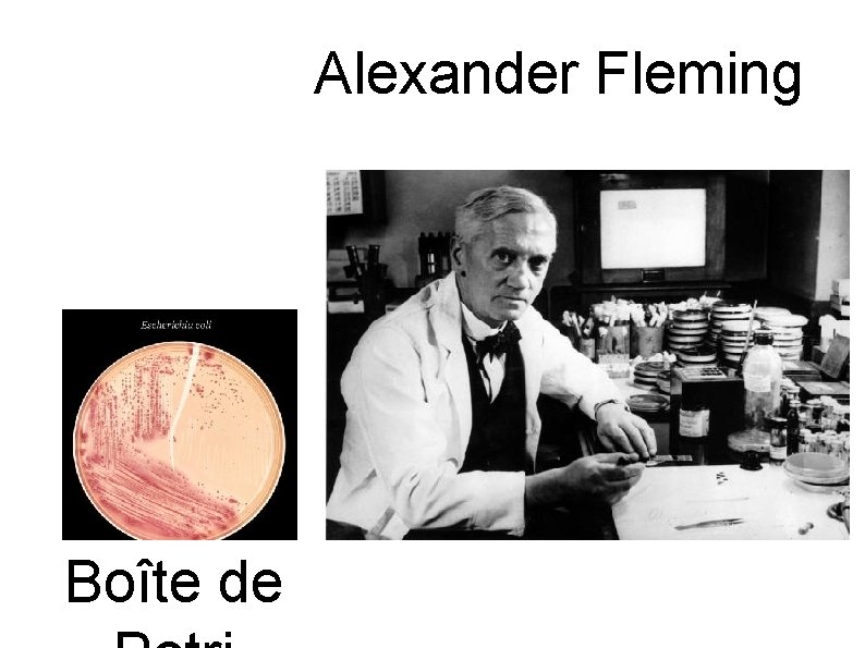 Alexander Fleming Boîte de 