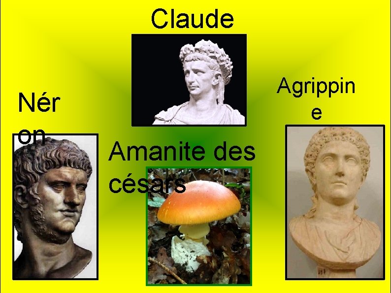 Claude Nér on Agrippin e Amanite des césars 