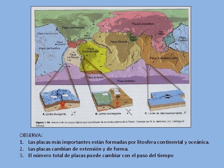 OBSERVA: 1. Las placas más importantes están formadas por litosfera continental y oceánica. 2.