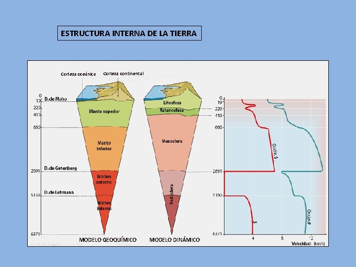 ESTRUCTURA INTERNA DE LA TIERRA Corteza oceánica Corteza continental MODELO GEOQUÍMICO MODELO DINÁMICO 