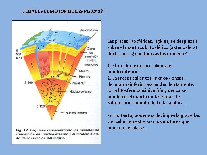 ¿CUÁL ES EL MOTOR DE LAS PLACAS? Las placas litosféricas, rígidas, se desplazan sobre