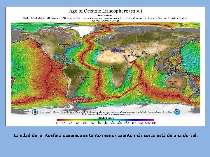 La edad de la litosfera oceánica es tanto menor cuanto más cerca está de