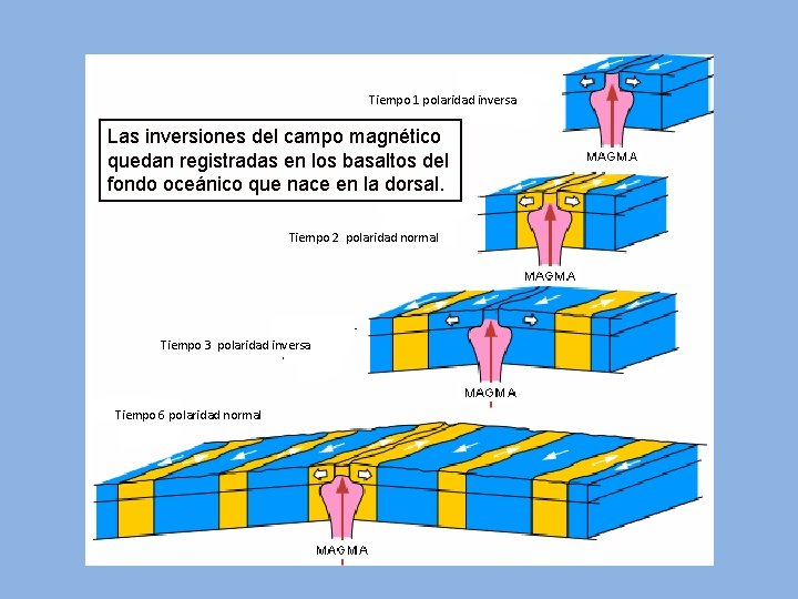 Tiempo 1 polaridad inversa Las inversiones del campo magnético quedan registradas en los basaltos