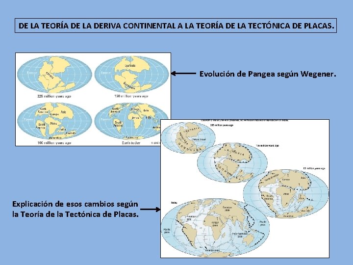 DE LA TEORÍA DE LA DERIVA CONTINENTAL A LA TEORÍA DE LA TECTÓNICA DE