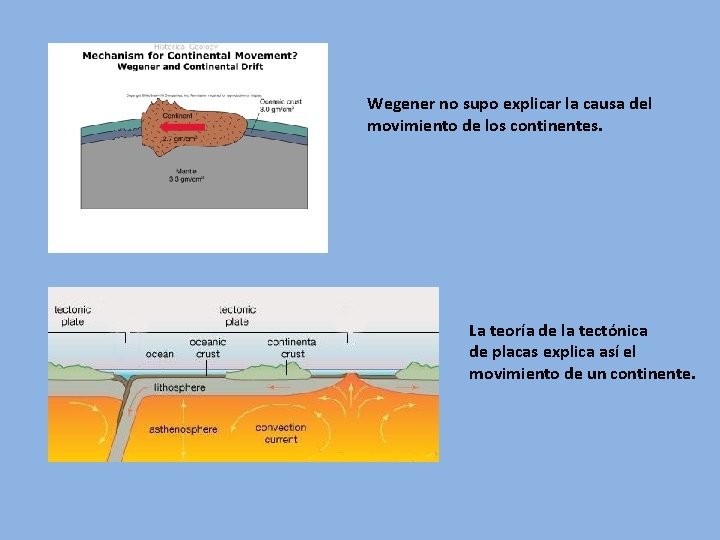 Wegener no supo explicar la causa del movimiento de los continentes. La teoría de
