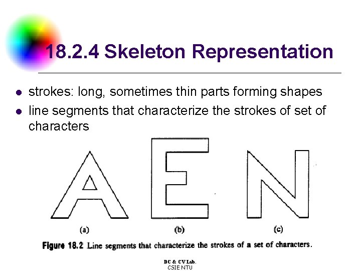 18. 2. 4 Skeleton Representation l l strokes: long, sometimes thin parts forming shapes