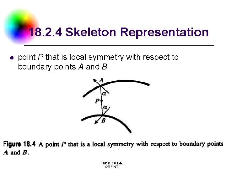 18. 2. 4 Skeleton Representation l point P that is local symmetry with respect