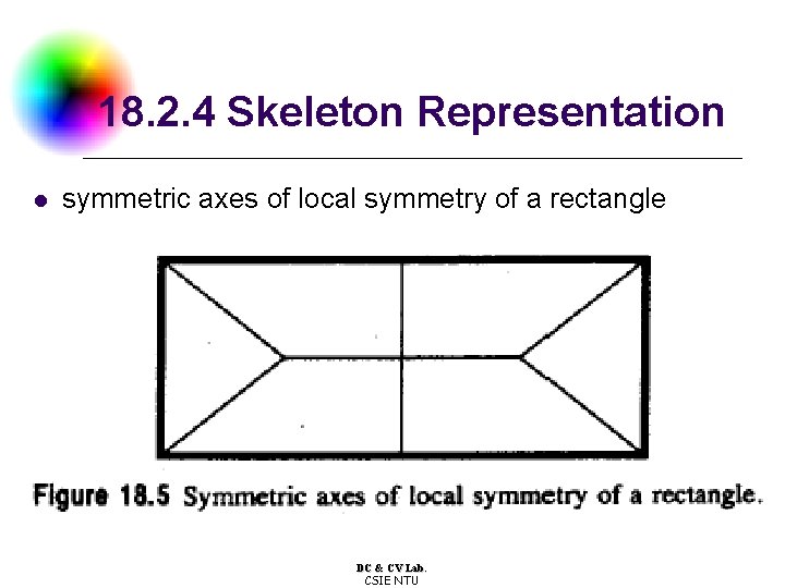18. 2. 4 Skeleton Representation l symmetric axes of local symmetry of a rectangle