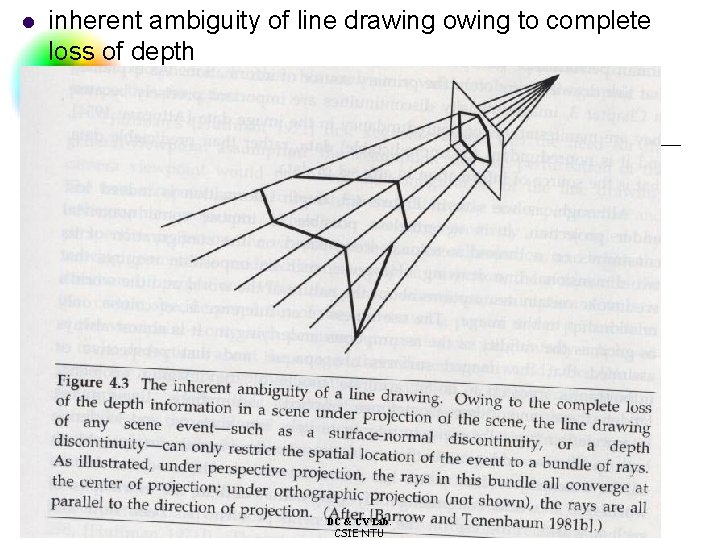 l inherent ambiguity of line drawing owing to complete loss of depth DC &