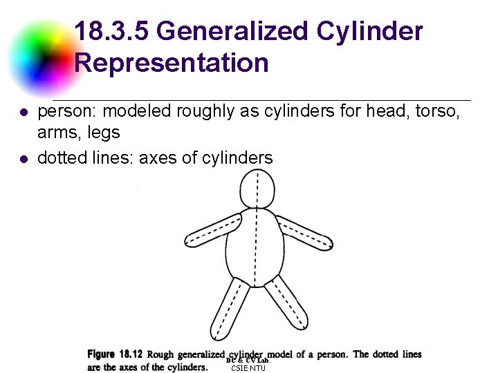 18. 3. 5 Generalized Cylinder Representation l l person: modeled roughly as cylinders for