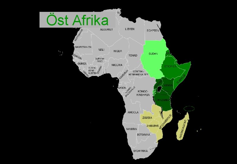 Öst Afrika 