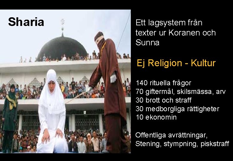 Sharia Ett lagsystem från texter ur Koranen och Sunna Ej Religion - Kultur 140