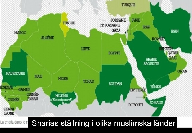  Sharias ställning i olika muslimska länder 